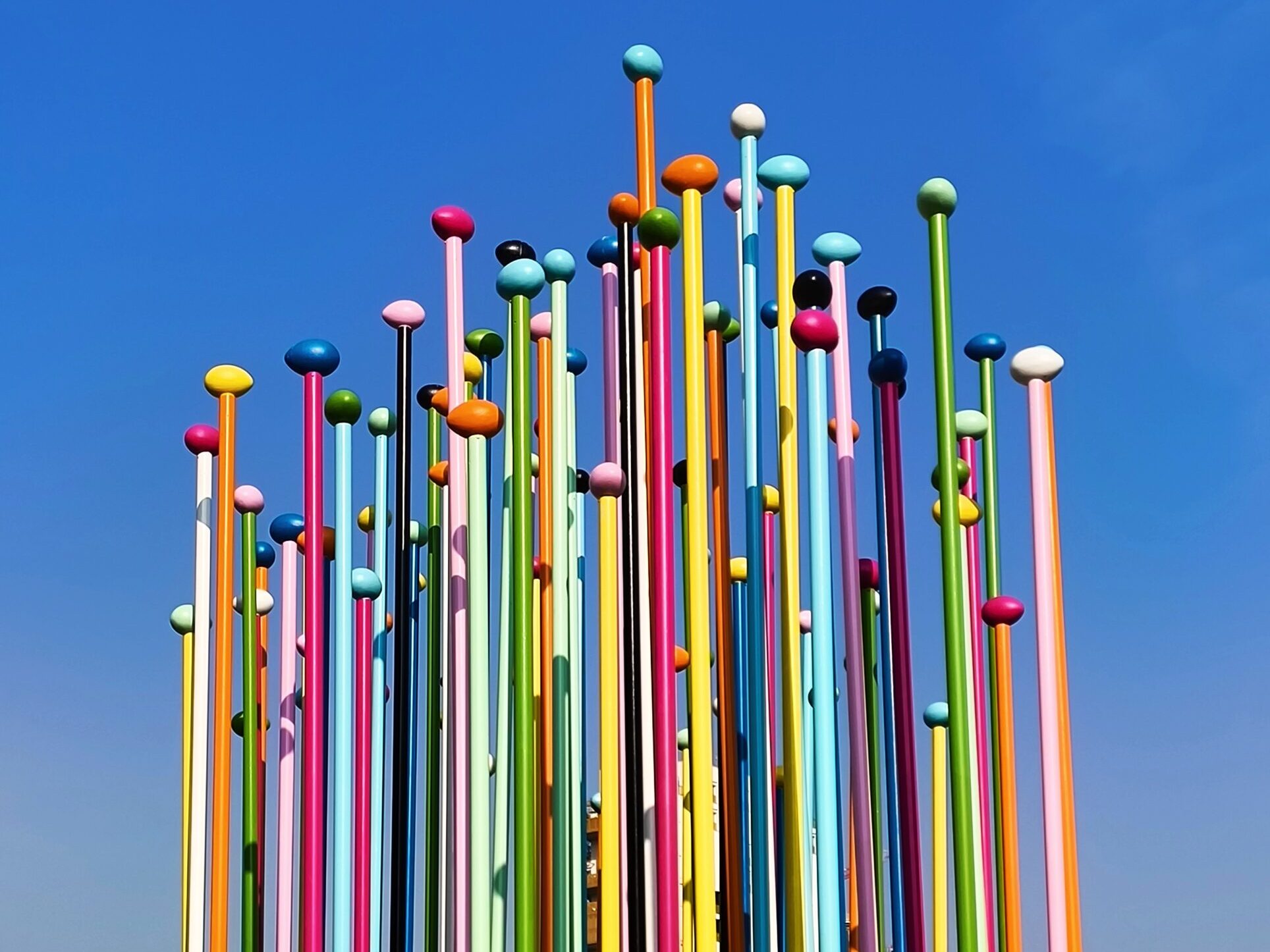 FOTO COPERTINA